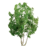 JTT 6 Snow Gum Pro Tree JTT-96015