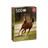 Jumbo Playful Foal 500pc Jigsaw Puzzle