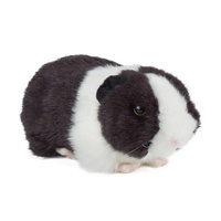 Living Nature Black Guinea Pig with Sound (20cm)