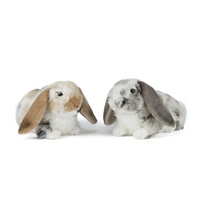 Living Nature Dutch Lop Eared Rabbit 24cm (Grey)