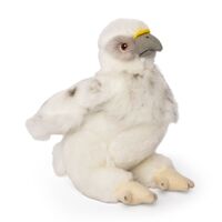Living Nature Eagle Chick