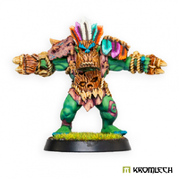 Kromlech Champi-Orcs Shaman (1)