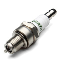 Spark Plug 1/5 Petrol