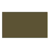 Lifecolor Dark Brown 22ml Acrylic Paint