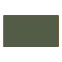Lifecolor Grigio-Verde Scuro 22ml Acrylic Paint