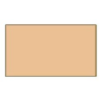 Lifecolor Light Brown 22ml Acrylic Paint