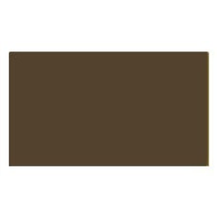 Lifecolor Extra Dark Brown 22ml Acrylic Paint