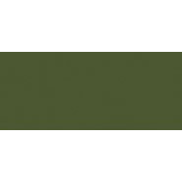 Lifecolor Light Green 22ml Acrylic Paint