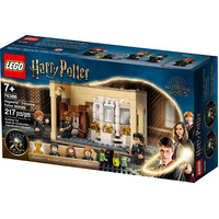 LEGO Harry Potter Hogwarts Polyjuice Potion Mistake 76386