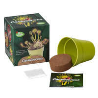 Mrs Green Carnivorous Plant - Grow Your own Carnivorous Plant