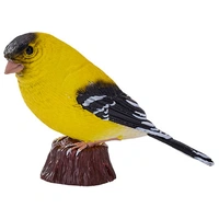 Mojo - American Goldlfinch