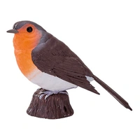 Mojo - Robin