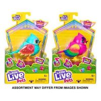 Little Live Pets Series 12 Bird Single Pack (Assorted)