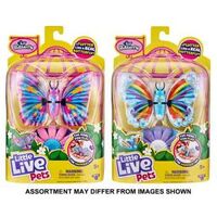 Little Live Pets Series 5 Li'l Butterfly Single Pack (Assorted)