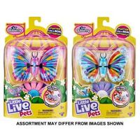 Little Live Pets Series 5 Li'l Butterfly Single Pack (Assorted)