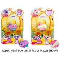 Little Live Pets Lil Mouse Single Pack (Assorted)
