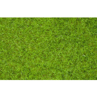 Noch O HO N Wild Grass Light Green (6mm)