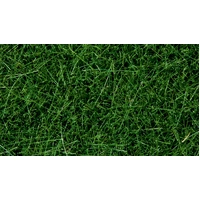 Noch Wild Grass Dark Green 50g N07106