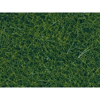 Noch O & HO Wild Grass