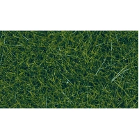 Noch O & HO Wild Grass