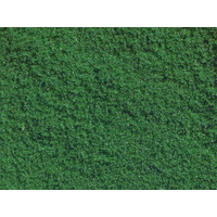 Noch Medium Flock Light Green 20gm
