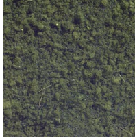 Noch Flock Foliage Medium Green
