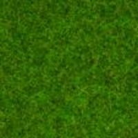 Noch Scatter Grass Ornamental Lawn 1.5mm long 20g N08214