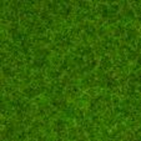 Noch Scatter Grass Ornamental Lawn 1.5mm long 20g N08214