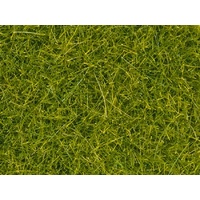 Noch Scatter Grass