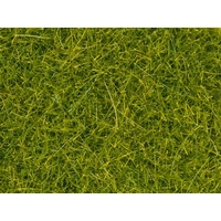 Noch Scatter Grass