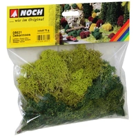 Noch Lichen, green mix assorted, 75?g bag N08621