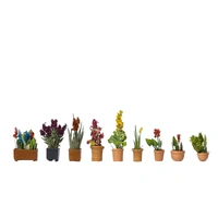 Noch HO Ornamental Plants, 9 flower pots N14012