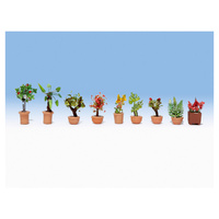 Noch N Ornamental Plants In Large Flowerpot