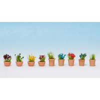 Noch N Flowers in Small Pots
