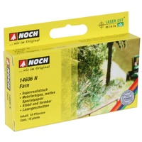 Noch N Fern 18 Plants