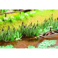 Noch Laser Mini Cut Reeds N14608