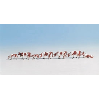 Noch HO Cows Brown and White 7 Pieces N15723