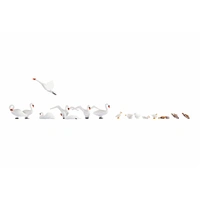 Noch HO Swan and Ducks (16 figures) N15774