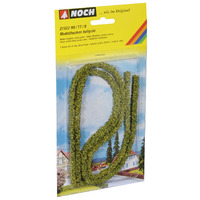 Noch Model Hedges Green