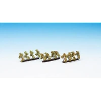 Noch N Plantation Trees with Apples