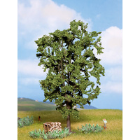 Noch Chestnut Tree