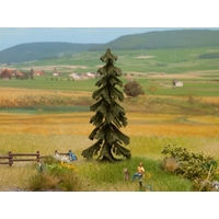 Noch Spruce Tree