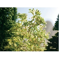 Noch Nature Trees Assorted