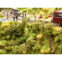 Noch Embankment Vegetation