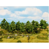 Noch Deciduous Trees (8pcs)