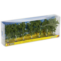 Noch Birch Trees