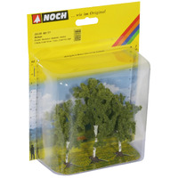 Noch Birch Trees
