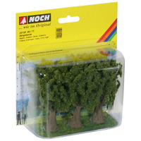 Noch Maple Trees