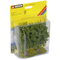 Noch Beech Trees