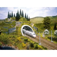 Noch N ICE Tunnel Portal